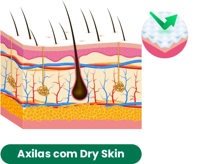 Axilas com Dry Skin: elimina suor