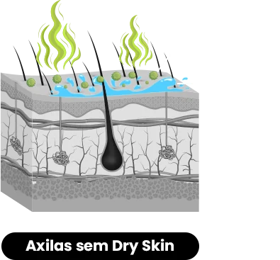 Axilas sem Dry Skin: bactérias e mau odor
